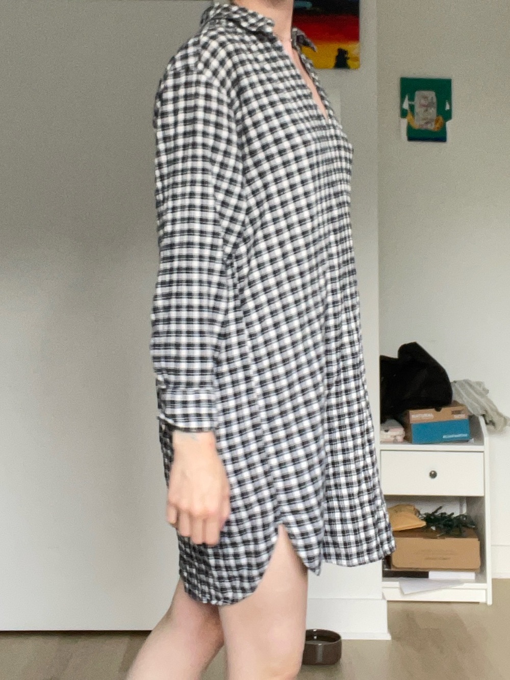 H&M Black and White Gingham Shirt Dress